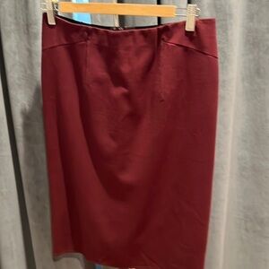 Ann Taylor Pencil Skirt